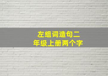 左组词造句二年级上册两个字