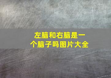 左脑和右脑是一个脑子吗图片大全