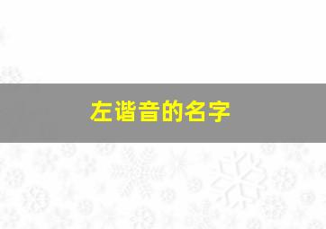 左谐音的名字