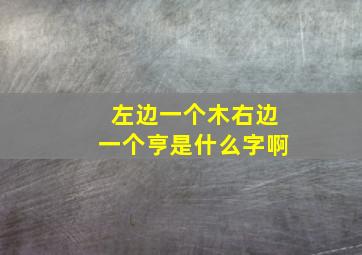 左边一个木右边一个亨是什么字啊