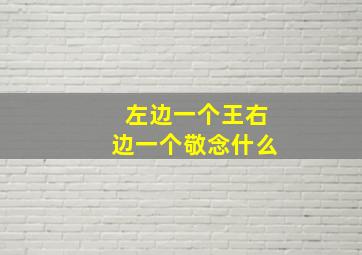 左边一个王右边一个敬念什么