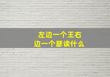 左边一个王右边一个瑟读什么