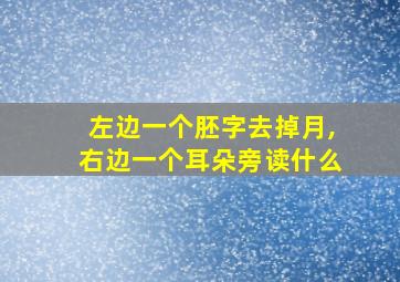 左边一个胚字去掉月,右边一个耳朵旁读什么