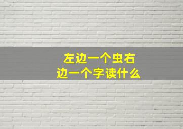 左边一个虫右边一个字读什么