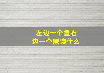 左边一个鱼右边一个厥读什么