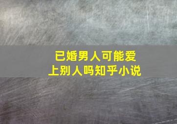 已婚男人可能爱上别人吗知乎小说