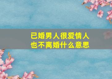 已婚男人很爱情人也不离婚什么意思