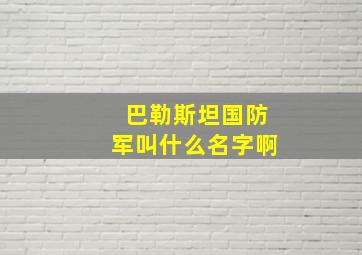 巴勒斯坦国防军叫什么名字啊