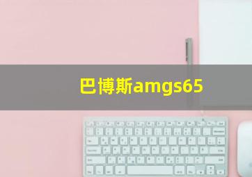 巴博斯amgs65