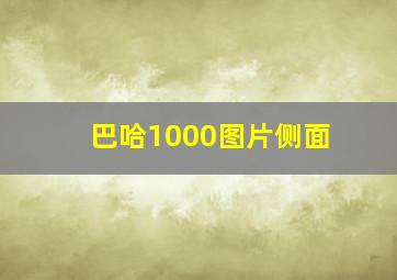 巴哈1000图片侧面