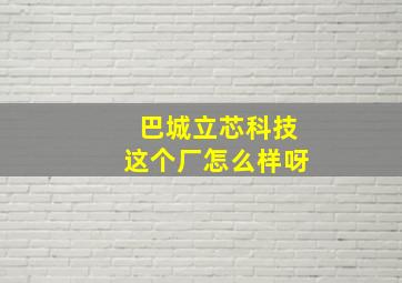 巴城立芯科技这个厂怎么样呀