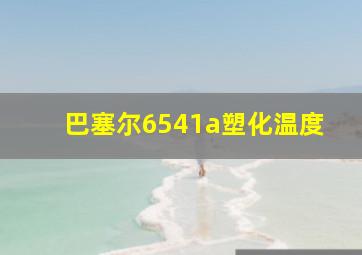 巴塞尔6541a塑化温度