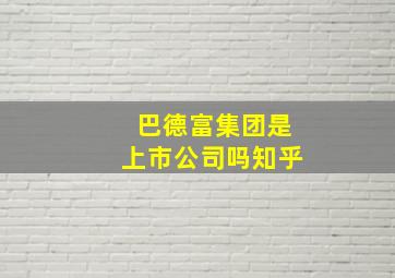 巴德富集团是上市公司吗知乎