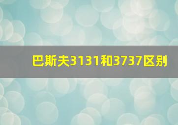 巴斯夫3131和3737区别