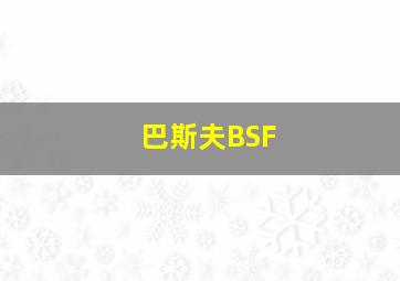 巴斯夫BSF