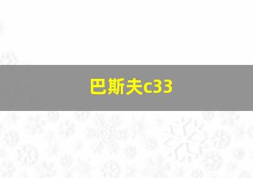 巴斯夫c33