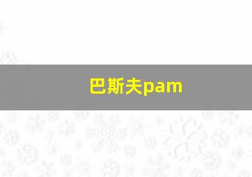 巴斯夫pam