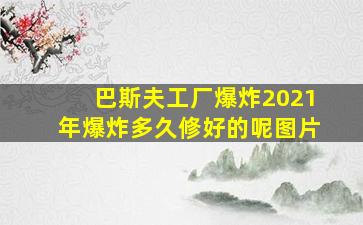 巴斯夫工厂爆炸2021年爆炸多久修好的呢图片