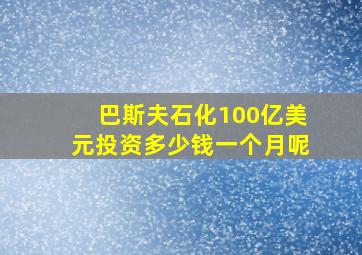 巴斯夫石化100亿美元投资多少钱一个月呢