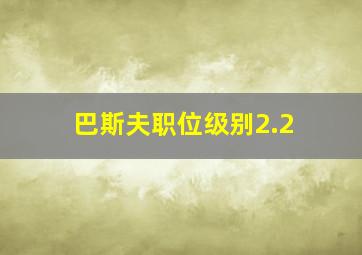 巴斯夫职位级别2.2