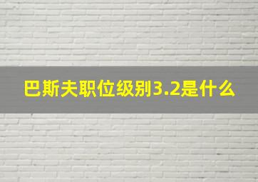 巴斯夫职位级别3.2是什么