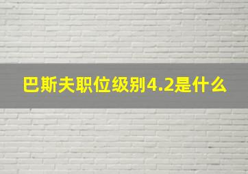 巴斯夫职位级别4.2是什么