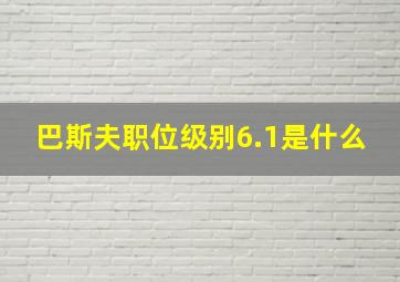 巴斯夫职位级别6.1是什么