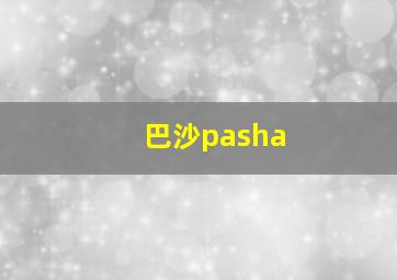 巴沙pasha