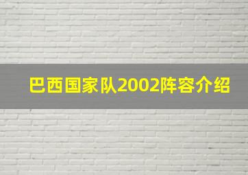 巴西国家队2002阵容介绍