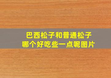 巴西松子和普通松子哪个好吃些一点呢图片