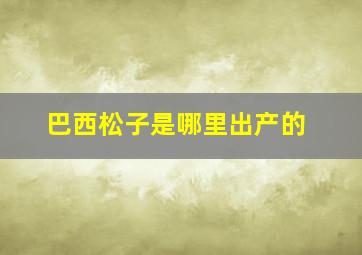 巴西松子是哪里出产的