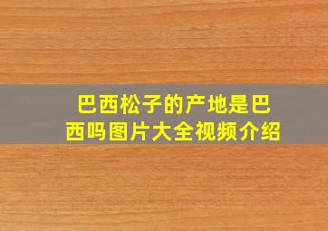 巴西松子的产地是巴西吗图片大全视频介绍