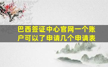 巴西签证中心官网一个账户可以了申请几个申请表