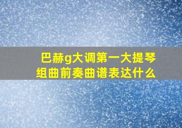 巴赫g大调第一大提琴组曲前奏曲谱表达什么