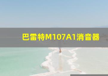 巴雷特M107A1消音器