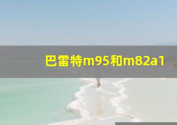 巴雷特m95和m82a1