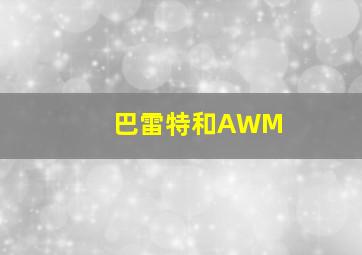 巴雷特和AWM