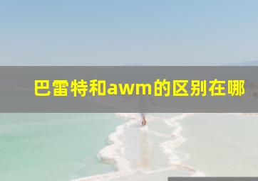 巴雷特和awm的区别在哪