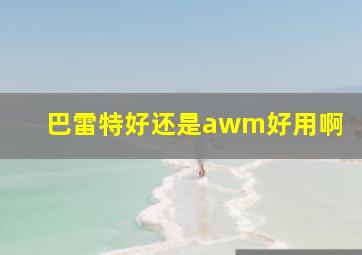 巴雷特好还是awm好用啊