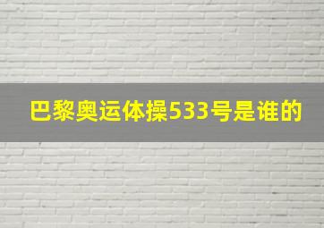 巴黎奥运体操533号是谁的