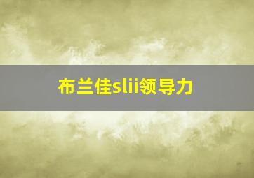 布兰佳slii领导力