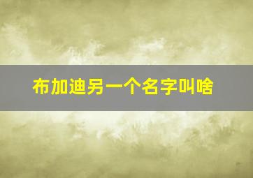 布加迪另一个名字叫啥