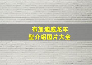 布加迪威龙车型介绍图片大全