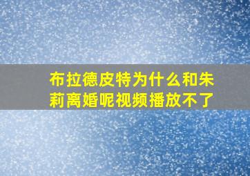 布拉德皮特为什么和朱莉离婚呢视频播放不了