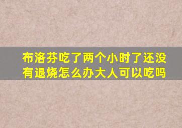 布洛芬吃了两个小时了还没有退烧怎么办大人可以吃吗