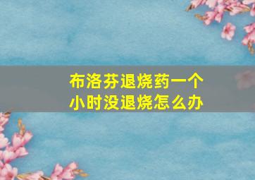 布洛芬退烧药一个小时没退烧怎么办