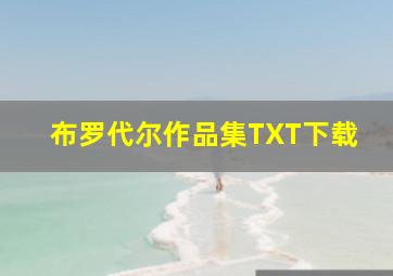 布罗代尔作品集TXT下载