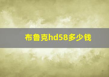 布鲁克hd58多少钱