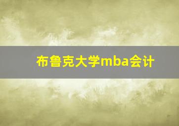 布鲁克大学mba会计