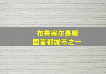 布鲁塞尔是哪国首都城市之一